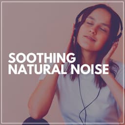 Soothing Natural Noise - Musica Relax Academia