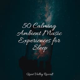 50 Calming Ambient Music Experiences for Sleep - Loopable Rain Sounds
