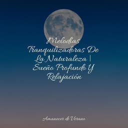 Melodías Tranquilizadoras De La Naturaleza | Sueño Profundo Y Relajación - Saludo al Sol Sonido Relajante