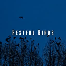 Restful Birds: Heavy Rain and Wind for Deep Sleep - Hurricane Sounds