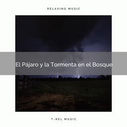 1 El Pájaro y la Tormenta en el Bosque - Academia de Música con Sonidos de la Naturaleza