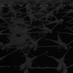 Film Music 1998-2001 - Wayne Horvitz