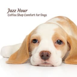 Jazz Hour: Coffee Shop Comfort for Dogs - Cafe Jazz Trio Japan