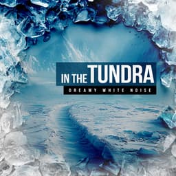 In the Tundra - Dreamy White Noise
