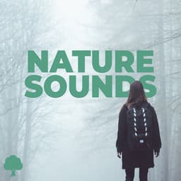Nature Sounds - Naturemen