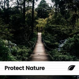 Protect Nature - Island Nature Sounds