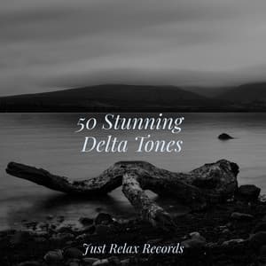 50 Stunning Delta Tones - Yoga Music