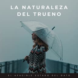 La Naturaleza Del Trueno: El Apacible Estado Del Gato - Phall del trueno