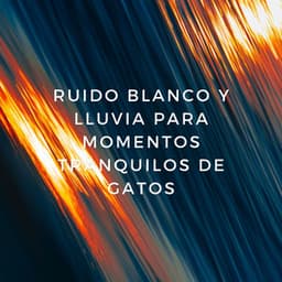 Paraíso Felino: Ruido Blanco Y Lluvia Para Momentos Tranquilos De Gatos - Ruido Blanco Tranquilo