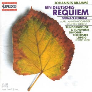 Brahms, J.: Deutsches Requiem - Johannes Brahms