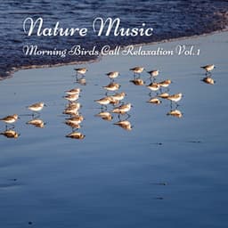 Nature Music: Morning Birds Call Relaxation Vol. 1 - Relaxing Music