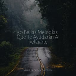 50 Bellas Melodías Que Te Ayudarán A Relajarte - Música a Relajarse