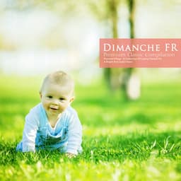 A Collection of Luxury Classics for a Bright and Joyful Heart - Dimanche FR