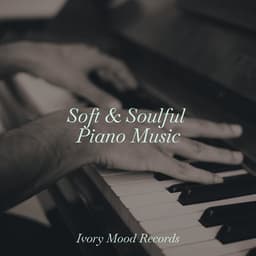 Soft & Soulful Piano Music - Guided Meditation