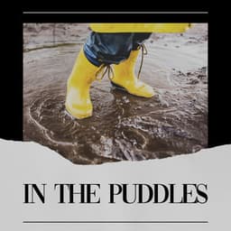 In the Puddles - Clear Mind Raining