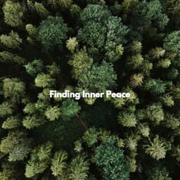 Finding Inner Peace - Music for Cooking Playlist