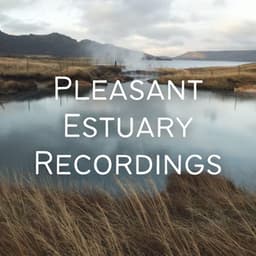 Pleasant Estuary Recordings - Yoga Music Playlist
