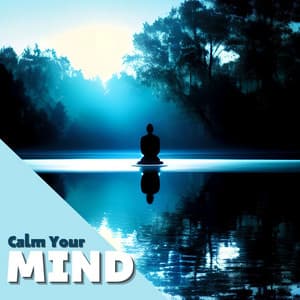 Calm Your Mind: Soothing Sounds for Mindfulness and Meditation - Gentle Experience
