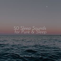 50 Sleep Sounds for Pure & Sleep - Massage Therapy Music