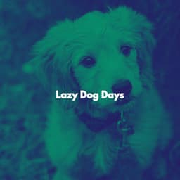 Lazy Dog Days - Chill Lounge