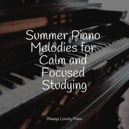 Summer Wellness: 50 Piano Melodies for Relaxation - Calming Piano