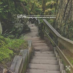 Listen to This Calming Nature Music While You Meditate - Memorable