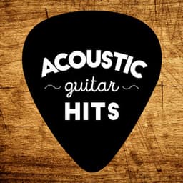Acoustic Guitar Hits - Acoustic Guitar Hits
