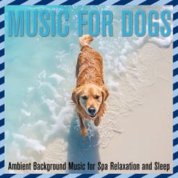 Music for Dogs: Ambient Background Music for Spa Relaxation and Sleep - Dog Music Dreams