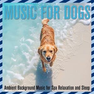Music for Dogs: Ambient Background Music for Spa Relaxation and Sleep - Dog Music Dreams