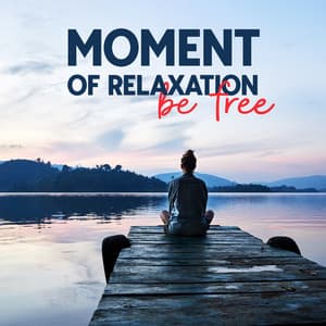 Moment of Relaxation: Be Free - Zen Mastermind