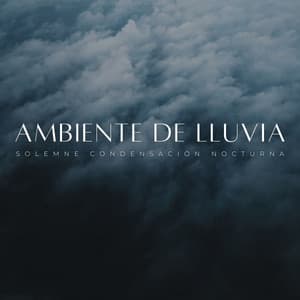 Ambiente De Lluvia: Solemne Condensación Nocturna - Palacio de la lluvia