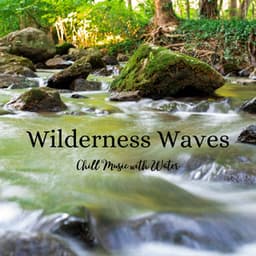 Wilderness Waves: Chill Music with Water - Spirits Of Our Dreams
