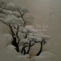 50 Clásicos De La Música Relajante Para Dormir - Canciones Infantiles