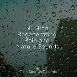 50 Mind Regenerating Rain and Nature Sounds - Ocean Waves For Sleep