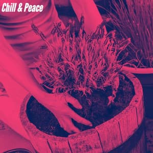 Chill & Peace - Smooth Dinner Jazz