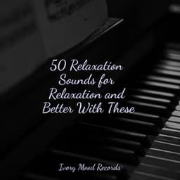 50 Relaxation Sounds for Relaxation and Better With These - Ivory Mood