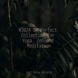 #2024 50 Perfect Collection for Yoga, Zen and Meditation - Guided Meditation
