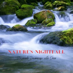 Nature's Nightfall: Streamside Dreamscape with Choir - Stereo Creek