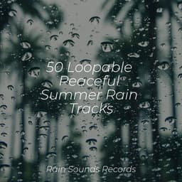 50 Loopable Peaceful Summer Rain Tracks - Canciones De Cuna