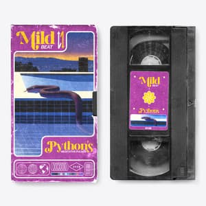 Mild Beat: Python's Meditative Pulses - Animal Melody Wizard