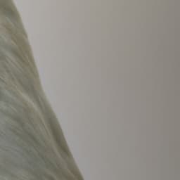 365 Complete Works 25 - Aidan O'Rourke