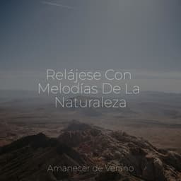Relájese Con Melodías De La Naturaleza - Relaxing Music