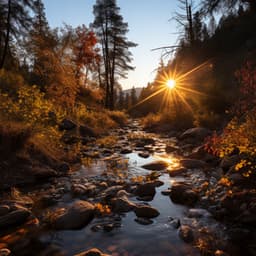 Armonía Ribereña: El Apacible Retiro De La Meditación - Rehabilitación de la naturaleza