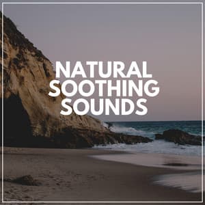 Natural Soothing Sounds - Organic Sound