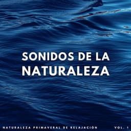 Sonidos De La Corriente: Naturaleza Primaveral De Relajación Vol. 1 - Sonidos de la naturaleza báltica