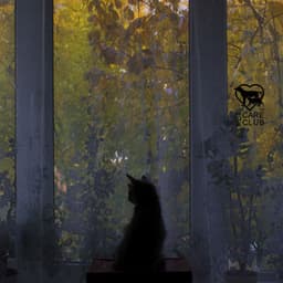 Nervous System Reset for Indoor Cats - Pet Care Club