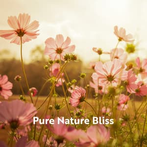 Pure Nature Bliss: Mother Nature and Water Sounds for Stress Relief, Deep Relaxation, Outdoor Meditation - Calm Nature Oasis