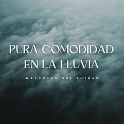 Pura Comodidad En La Lluvia: Mascotas Que Sueñan - Terapia de lluvia