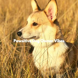 Pawsitive Dog Owner Vibes - Relaxing Dog Music Playlists