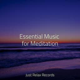Essential Music for Meditation - Musica romantica instrumental